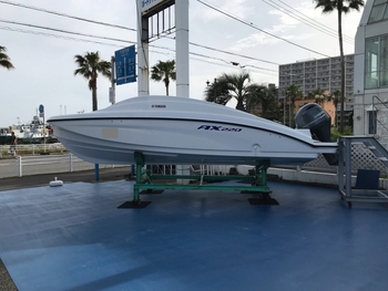thumb_085831-yamaha-ax220