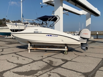 thumb_085439-yamaha-ax220
