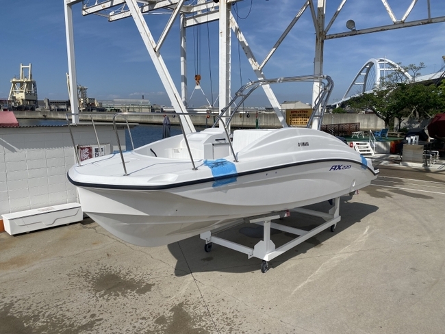 medium_078518-yamaha-ax220