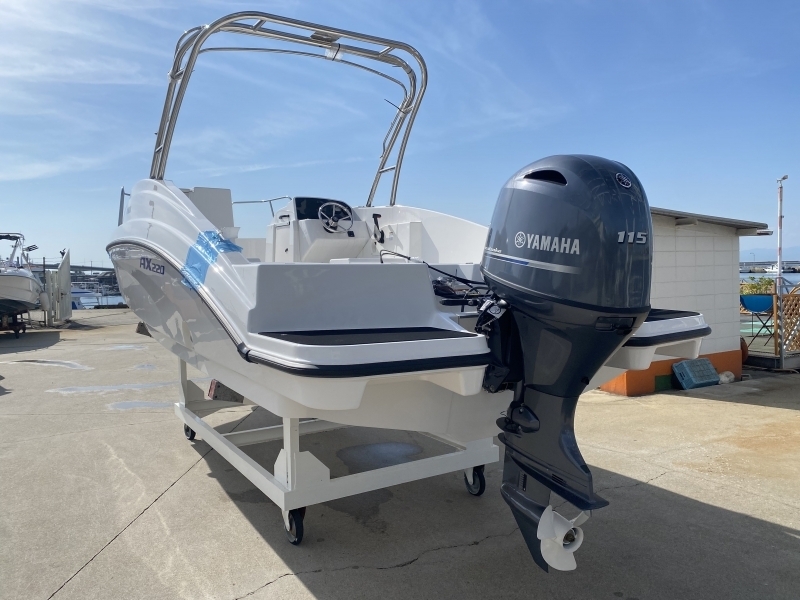 banner_078518-yamaha-ax220