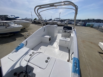 thumb_078518-yamaha-ax220