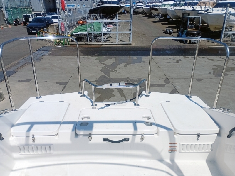 banner_072275-yamaha-ax220