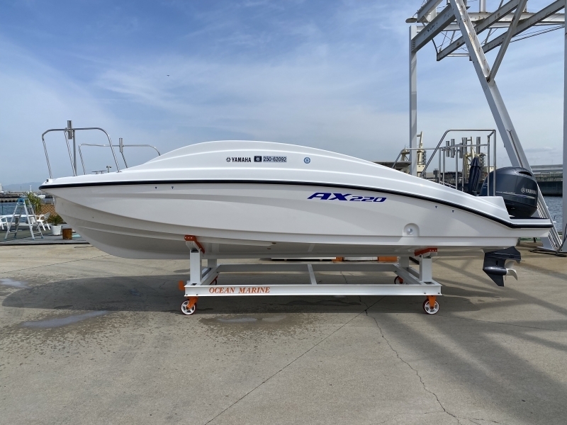banner_066155-yamaha-ax220