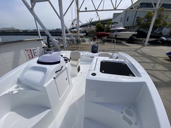 thumb_066155-yamaha-ax220
