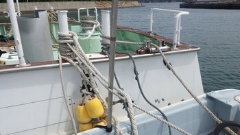 thumb_092647-higashi-kyushu-shipyard-fishing-vessel