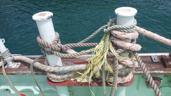 thumb_092647-higashi-kyushu-shipyard-fishing-vessel