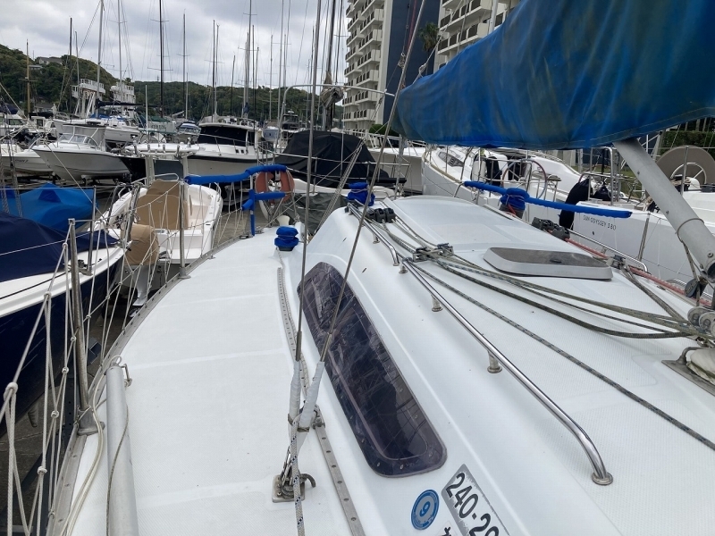 banner_092650-tsuboi-yacht-swing-31