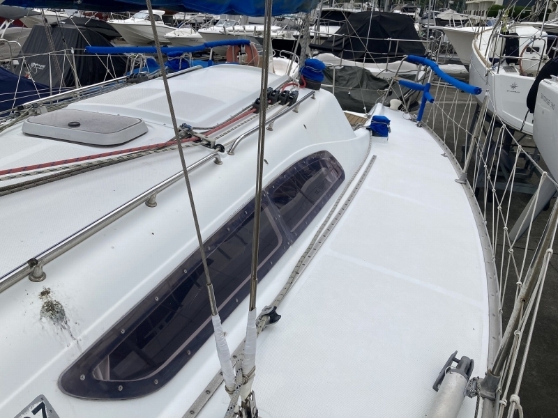 banner_092650-tsuboi-yacht-swing-31