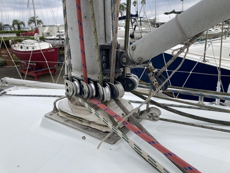 banner_092650-tsuboi-yacht-swing-31