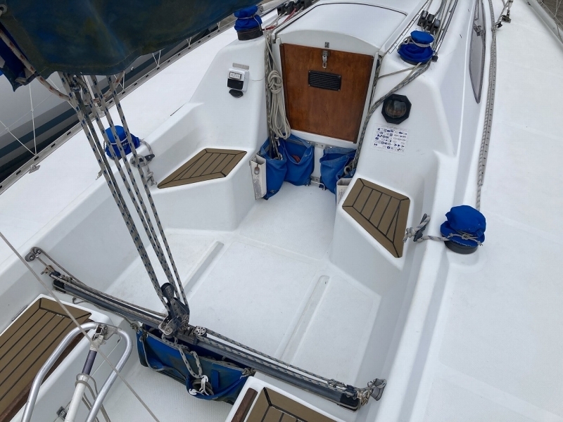 banner_092650-tsuboi-yacht-swing-31