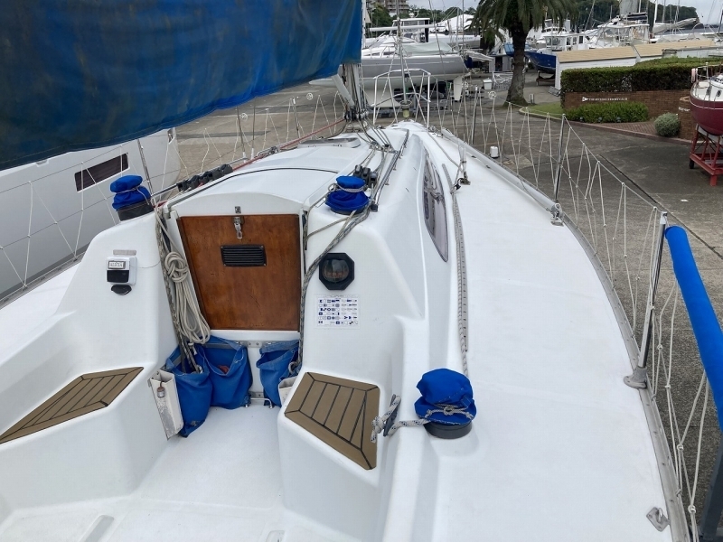 banner_092650-tsuboi-yacht-swing-31