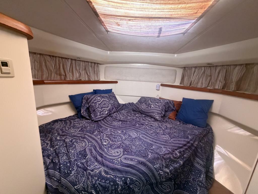 banner_092991-yamaha-pc-36-pacific-cruiser-36