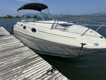 thumb_092996-sea-ray-240-sundancer