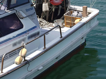 thumb_093005-yanmar-de27
