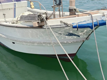 thumb_093005-yanmar-de27