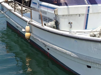 thumb_093005-yanmar-de27