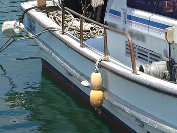 thumb_093005-yanmar-de27