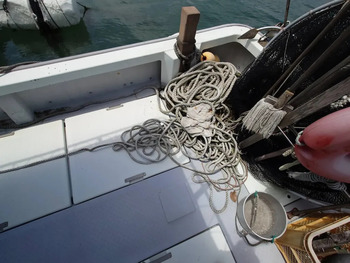 thumb_093005-yanmar-de27
