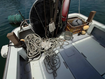 thumb_093005-yanmar-de27