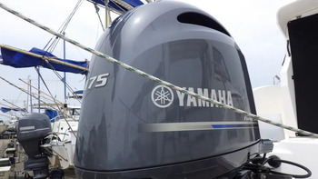 thumb_093031-yamaha-yfr-24-fsr
