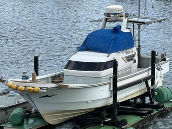 thumb_093050-yanmar-de31d