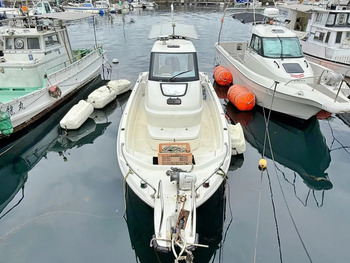 thumb_093055-yamaha-w-23
