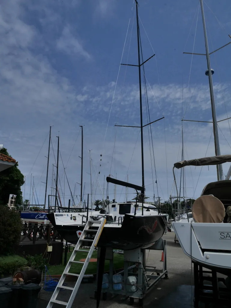 banner_093126-mcconaghy-ker-33