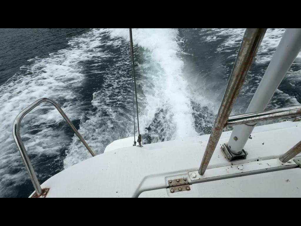 banner_093219-yanmar-lf26z