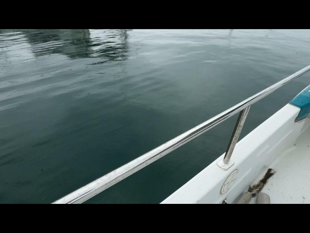 banner_093219-yanmar-lf26z