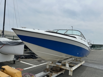thumb_093234-yamaha-sr-23