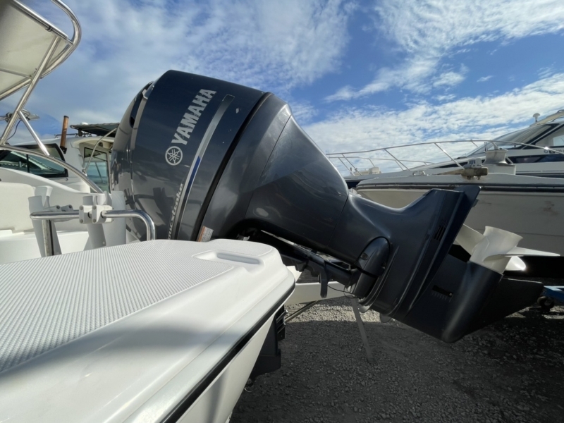 banner_093261-yamaha-as-21