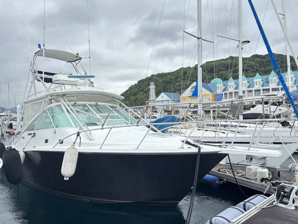 banner_093269-cabo-35-express