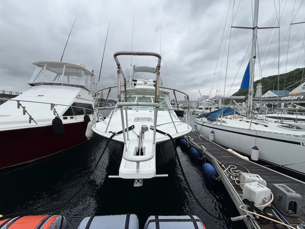 banner_093269-cabo-35-express