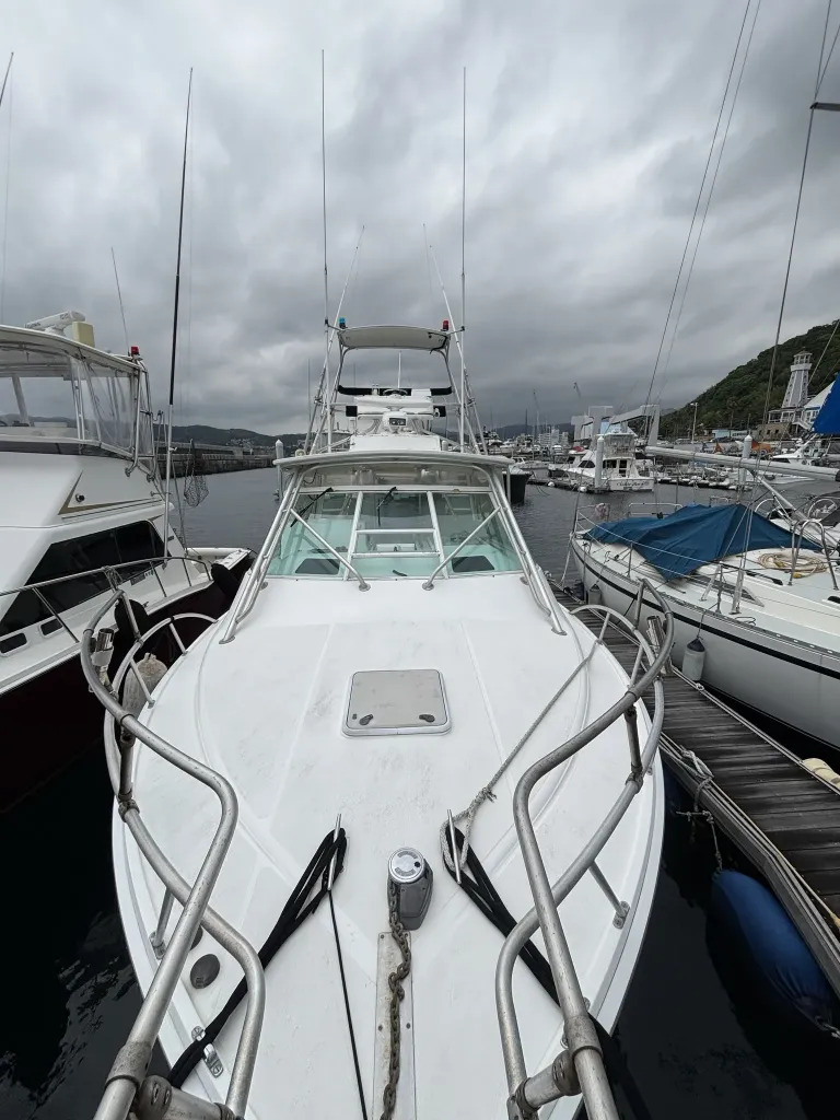 banner_093269-cabo-35-express