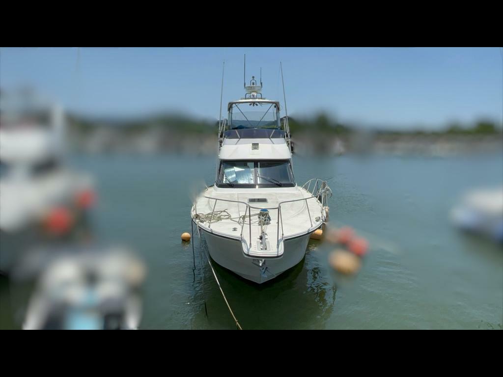 banner_093290-yamaha-sf-40
