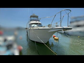 thumb_093290-yamaha-sf-40