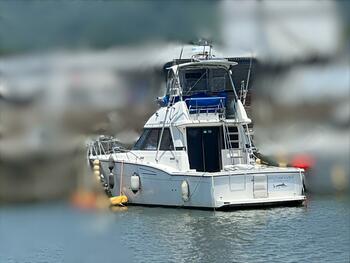 thumb_093290-yamaha-sf-40