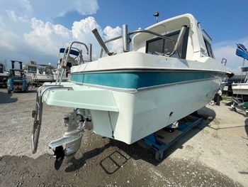 thumb_093296-yanmar-fz25e