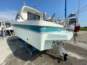 thumb_093296-yanmar-fz25e