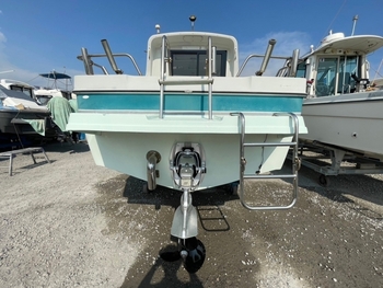 thumb_093296-yanmar-fz25e