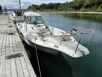 thumb_093329-yanmar-lf26cz