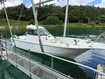 thumb_093329-yanmar-lf26cz