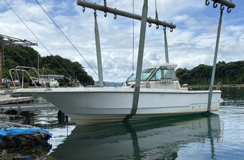 thumb_093329-yanmar-lf26cz