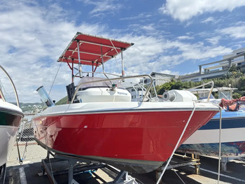 thumb_093331-yanmar-ef20za