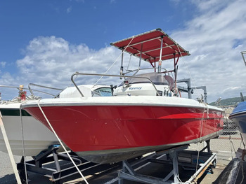 thumb_093331-yanmar-ef20za