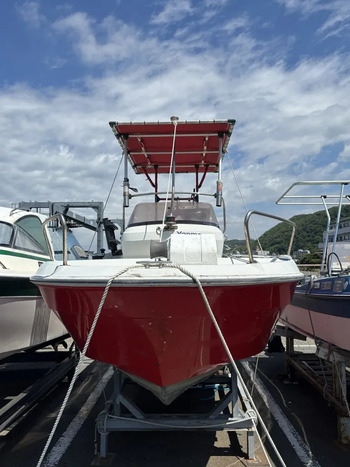thumb_093331-yanmar-ef20za