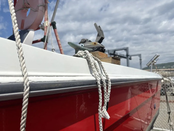 thumb_093331-yanmar-ef20za