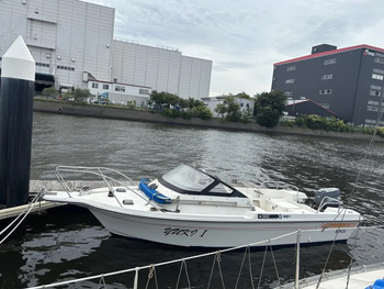 thumb_093346-yamaha-sunfriend-19