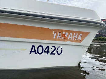 thumb_093346-yamaha-sunfriend-19