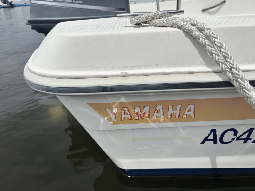 banner_093346-yamaha-sunfriend-19